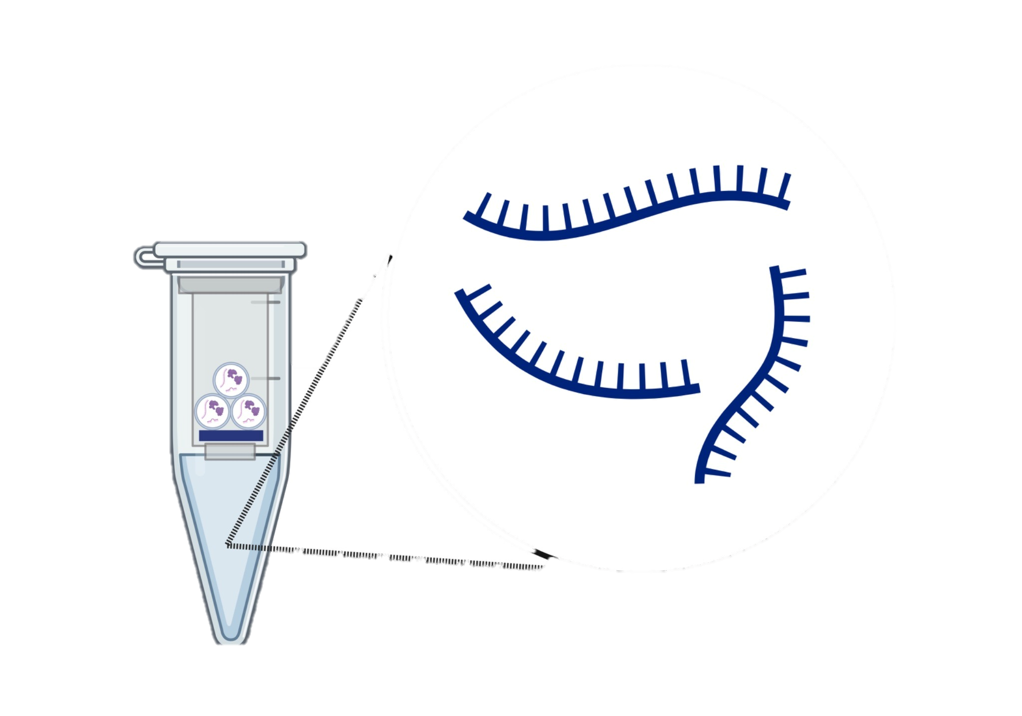 Urine sample tube illustration
