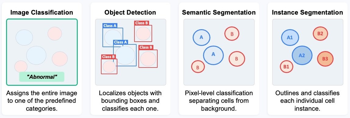 Four computer-vision tasks compared: image classification, object detection, semantic segmentation and instance segmentation on cytology cells