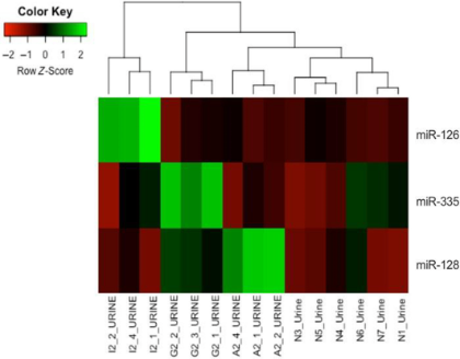 MicroRNA-126 figure