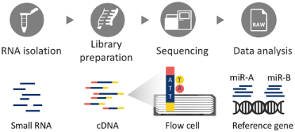Urinary microRNA review figure