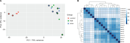 Duchenne muscular dystrophy expression figure
