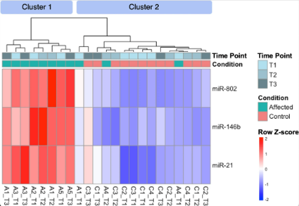 Small RNA sequencing figure