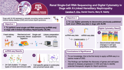 Single-cell RNA sequencing figure