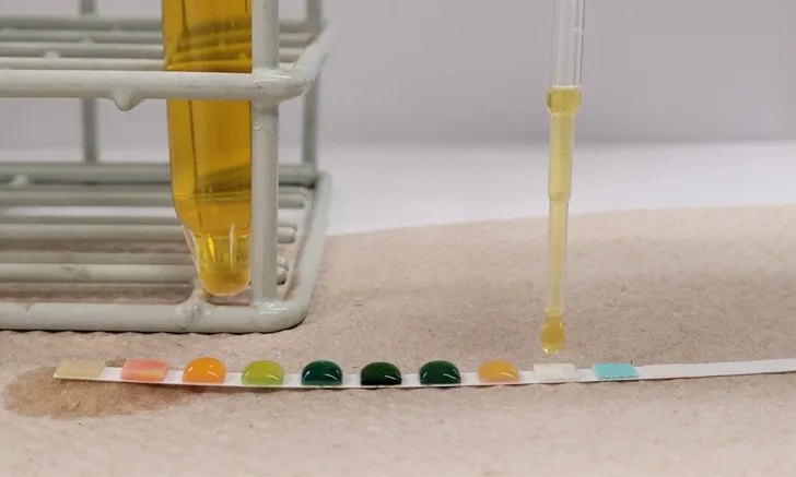 Urine dipstick being read beside a tube of urine